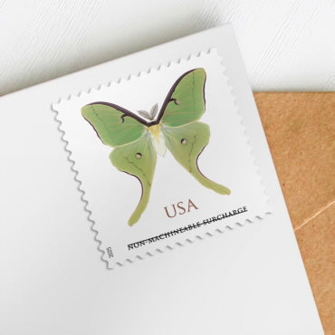 NOT Forever Stamp-Non-Machinable Surcharge Stamps 2025 Luna Moth – Nature Series, First-Class Rate