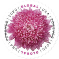 Global Forever Stamps 2020 Chrysanthemum – Floral Collection, International Rate