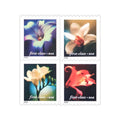 NOT Forever Stamp-First Class Stamps 2000 Four Flowers – Nature Series, Fixed Rate Postage