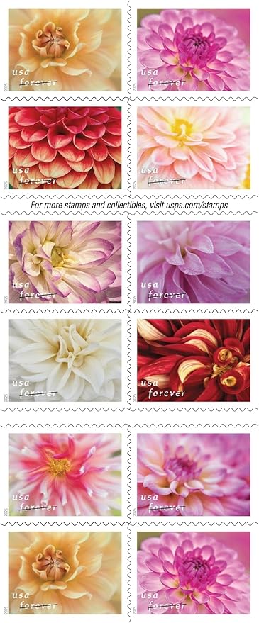 Forever Stamps 2025 Dahlias – Floral Collection, First-Class Postage