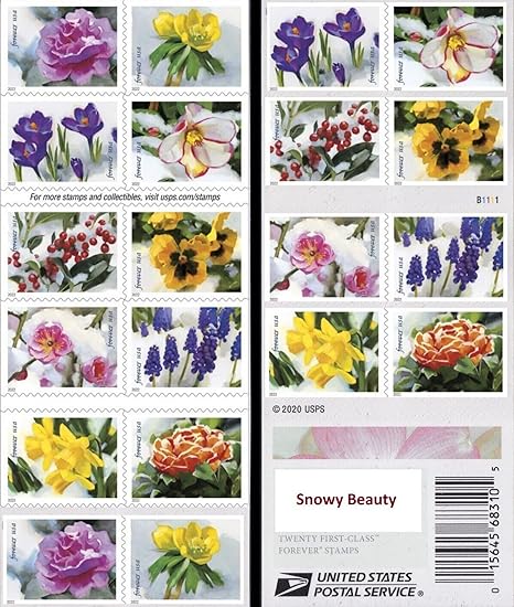 Forever Stamps 2022 Snowy Beauty – Winter Nature Collection, First-Class Postage