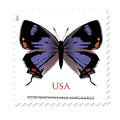 NOT Forever Stamp-$1.12 Stamps 2021 Colorado Hairstreak Butterfly – Non-Machinable Surcharge, First-Class Rate