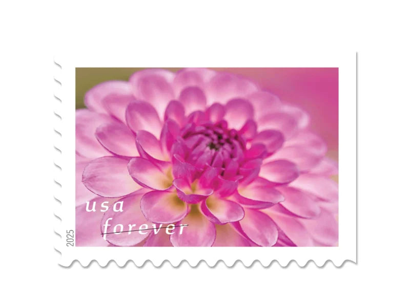 Forever Stamps 2025 Dahlias – Floral Collection, First-Class Postage
