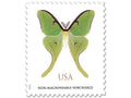 NOT Forever Stamp-Non-Machinable Surcharge Stamps 2025 Luna Moth – Nature Series, First-Class Rate