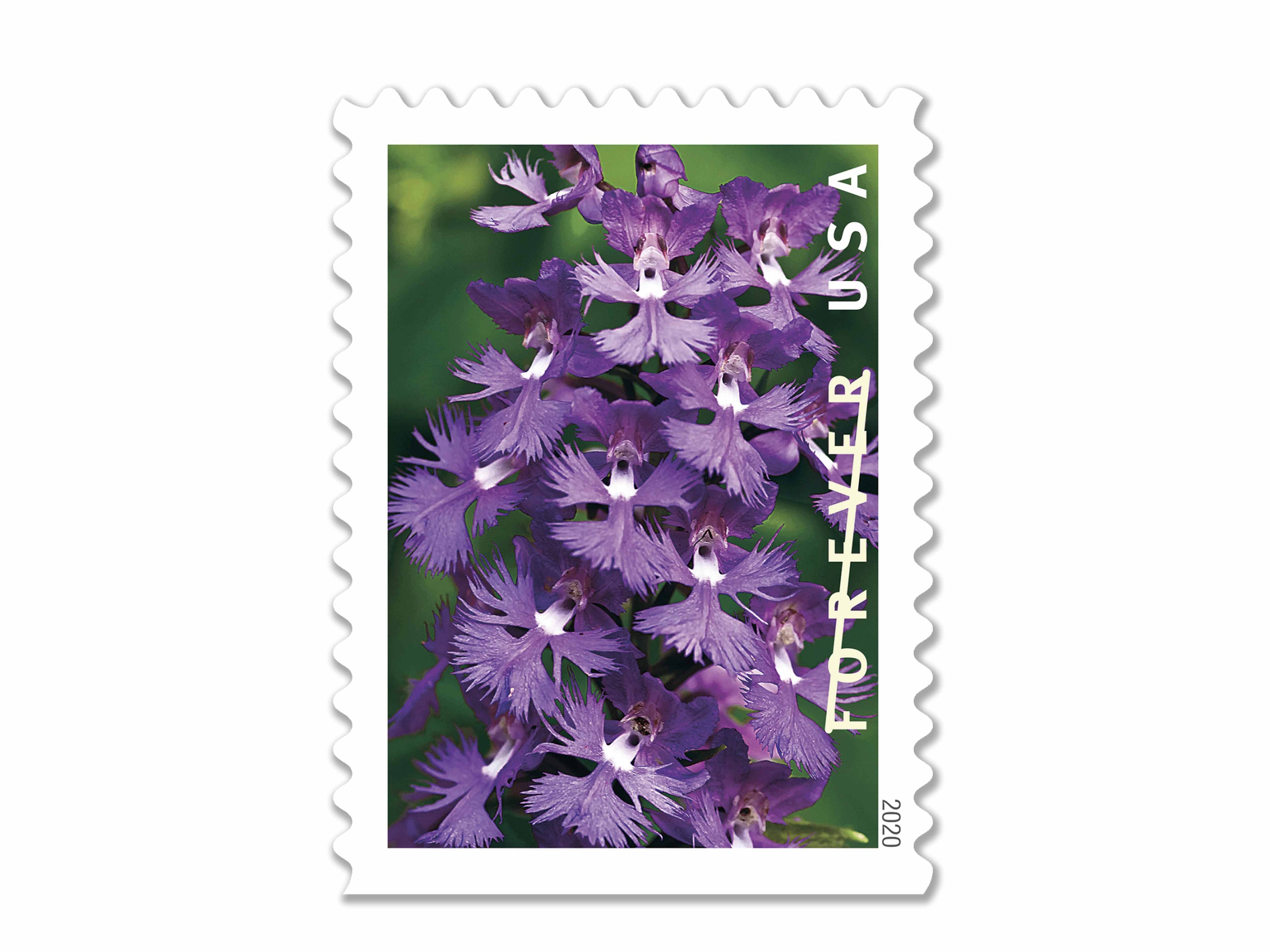 Forever Stamps 2020 Wild Orchids – Nature Series, First-Class Postage
